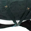 Imperial Riding Super-Dry 100g, Couleur:forest green, Voir les images du produit 5