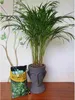 Pflanzenerde Set - 2x5l - für Palmen und Dracena - Optimale Produktbild-Vorschau 4