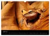 Frösche (Wandkalender 2027 DIN A3 quer), CALVENDO Produktbild-Vorschau 7