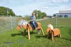 EDUPLAY 160249 Holzpferd 80 cm lasiert, 168 x 74 x 110 cm, Produktbild-Vorschau 4