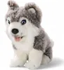 Carl Dick Husky sitzend ca. 19cm 2887 Kuscheltier, Produktbild-Vorschau 5