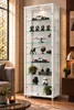 AGIONDA Standvitrine mit LED-Beleuchtung, Glasvitrine und Produktbild-Vorschau 4
