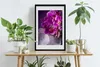 Bild - Bilderrahmen - 40 cm x 60 cm - MDF - Rahmen - Produktbild-Vorschau 2