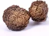 Two dried plants resembling balls are shown against a white background. Voir les images du produit