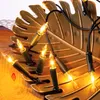 Lichterkette innen 10 klare warme Lichter, beleuchtet Produktbild-Vorschau 7