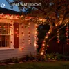 LED-Lichtgordijn 2x2 m, 200 warmweiße Blätter, 8 Modi, Timer, USB Productafbeelding-voorbeeld