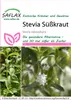 Artikelbild 1 von 'Süßkraut Stevia' aus der Kategorie Steviasamen Voir les images du produit