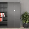 A gray metal office cabinet with shelves and binders is next to a gray wall. A potted plant is on the right. Anteprima dell’immagine prodotto