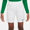 Nike Hosen Dry Park Iii JR, BV6865102, Größe: 128 Produktbild-Vorschau 5