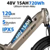 Vélo électrique 48V 15Ah, vélo électrique, vélo électrique Voir les images du produit 11