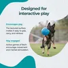 Jolly honden speelgoed, voetbal, lichtblauw, maat: L Productafbeelding-voorbeeld 4