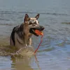 Giocattolo per cani Aqua Kong taglia M Anteprima dell’immagine prodotto 3