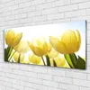 Acrylglasbilder 125x50 Wandbild Druck Tulpen Pflanzen Produktbild-Vorschau 2