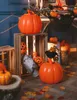 Dekorácie z tekvíc - tekvica - HALLOWEEN - 20 ks Náhľad obrázku produktu 5