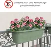 Geländerkasten 60 Rattan Geflecht Optik Balkonkasten für Produktbild-Vorschau 3