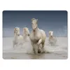 MuchoWow® Mauspad Mousepad Pferde - Wasser - Schlamm 40x30 Produktbild-Vorschau 1