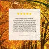 MuchoWow® - Leinwandbilder - Wald - Herbst - Jahreszeiten - Produktbild-Vorschau 8