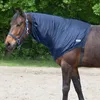 Waldhausen Eczema Nackenschutz  Pony  Pony Produktbild-Vorschau 3