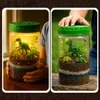 Dinosauří terárium DIY s LED noční lampičkou a projektorem, Náhled obrázku produktu 5