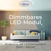 A modern living room scene with a sofa, lamp, and a plant, illuminated by a ceiling light. Produktbild-Vorschau