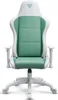 A white and green gaming chair is shown from the front against a white background. Produktbild-Vorschau