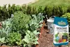BIOVITA Dolomit Calcium- und Magnesiumdünger Öko-Dünger für Produktbild-Vorschau 11