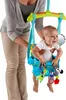 Bright Starts Bounce ’n Spring Deluxe Türhopser™; 10410 Produktbild-Vorschau 4