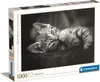 Clementoni Puzzle 39422 - Koťátko (1000 dílků) Náhled obrázku produktu 7