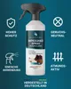 Imprägnierung für Schuhe & Leder Schuh-Imprägnierspray, 500 Produktbild-Vorschau 6