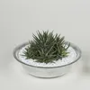 Zinkwanne Zink-Schale als runde Pflanzschale Deko-Schale Produktbild-Vorschau 6