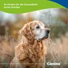 Canina V25 comprimés de vitamines 100g Voir les images du produit 5