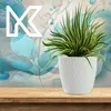 A white plant pot with a green and yellow striped plant on a wooden shelf, with a decorative background. Produktbild-Vorschau