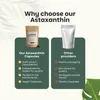 Astaxanthin-Kapseln 8 mg Produktbild-Vorschau 6