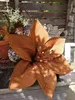 Edelrost Blume Chantalle Anteprima dell’immagine prodotto 2