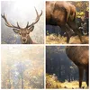 Bilder auf glas - Einteilig - Licht Hirsch Wald - 70x50cm - Produktbild-Vorschau 8