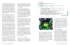 Die Ernährungs-Docs - Unsere 100 besten antientzündlichen Produktbild-Vorschau 5
