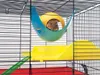 Domek Sputnik plastový 21,5 x 21,5 x 12,5 cm 1 ks Náhled obrázku produktu 6
