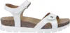 Sulia Basics B1 Produktbild-Vorschau 30