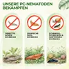 Green Guardia Nematoden gegen Nacktschnecken – 10 Mio. für Produktbild-Vorschau 2