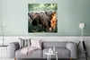 MuchoWow® Poster Schottische Highlander - Wald - Tiere Produktbild-Vorschau 5