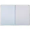 Exacompta 5x Durchschreibebuch A4 kariert 50 Blatt, Produktbild-Vorschau 5