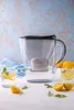 A water filter pitcher and two glasses of water with lemon and mint, surrounded by lemons and mint leaves, on a white surface with a textured blue and tan background. Náhľad obrázku produktu
