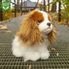 Peluche King Charles Spaniel 25 Cm Ecologico Anteprima dell’immagine prodotto 13
