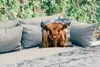 MuchoWow® Outdoor Kissen - Kühe - Schottische Produktbild-Vorschau 2