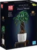 The image shows the packaging for a Mould King building block set depicting a money tree. Produktbild-Vorschau