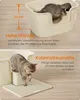 Feandrea extragroße Katzentoilette, für große Katzen, mit Produktbild-Vorschau 5