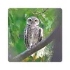 MuchoWow® Mauspad Mousepad Eule auf Ast sitzend 20x20 cm - Produktbild-Vorschau 1