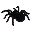 Obrovský pavúk na diaľkové ovládanie Tarantula s diaľkovým Náhľad obrázku produktu 12