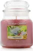 Yankee Candle Duftkerze Sunny Daydream Classic Medium Jar Produktbild-Vorschau 4