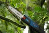 Bosch Professional GKE 18V-25 TP (C) Produktbild-Vorschau 14